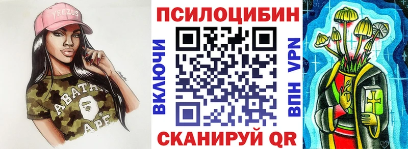 что такое   Суворов  Псилоцибиновые грибы Cubensis 